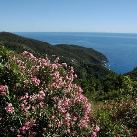 Maison De Charme Giulietta Bonassola Bagian luar foto