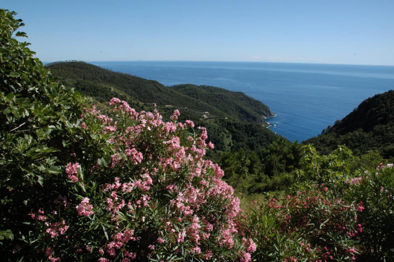 Maison De Charme Giulietta Bonassola Bagian luar foto